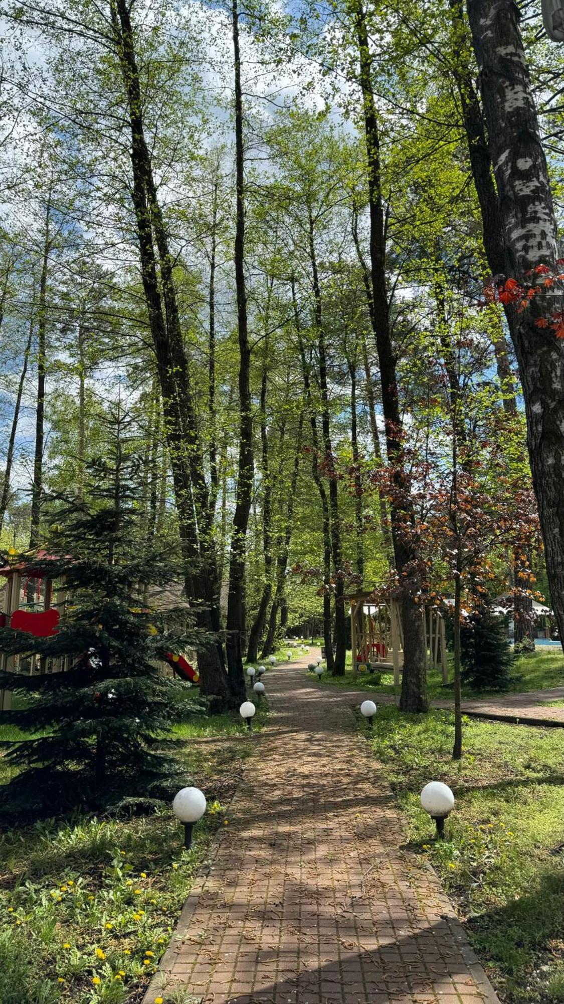 Romankiv Tysha Forest Club מראה חיצוני תמונה